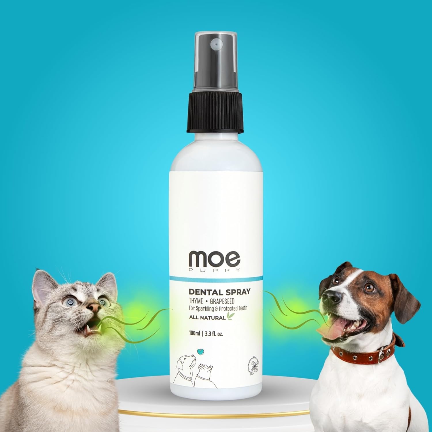 Top 5 Products Amazon: Natural puppy shampoo and Best cat shampoo on Mr-jatt-dj.com